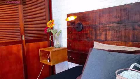    online show from 11.13.25