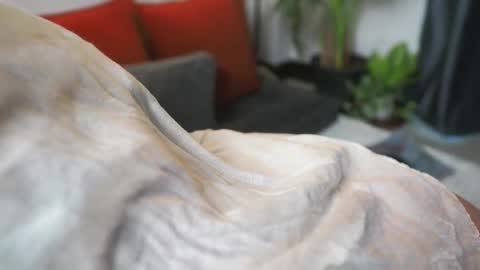 Snapshot of tasty_tomato chatting on 02.21.25 RHEA pronanciation like Reya online show from 02.21.25