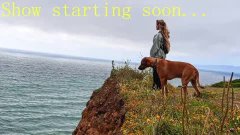 TATUM  ALL MY LINKS  online show from 02.02.25