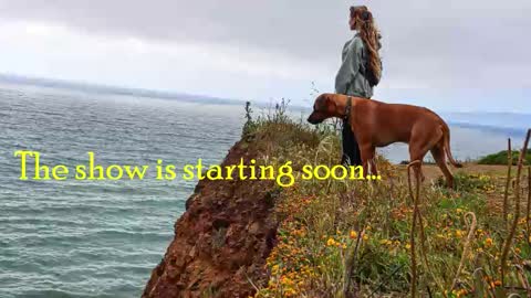 TATUM  ALL MY LINKS  online show from 10.30.25