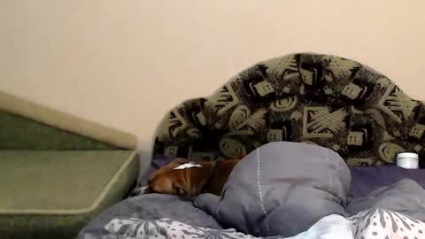 Taya online show from 02.04.25