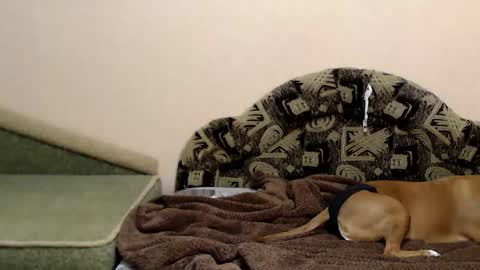 Taya online show from 12.16.25