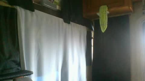 taylafox online show from 02.07.25