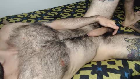 Taylor online show from 01.11.26