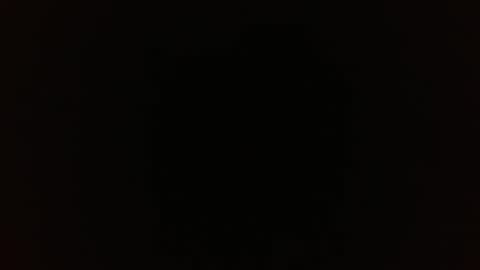 Taylor online show from 03.16.26