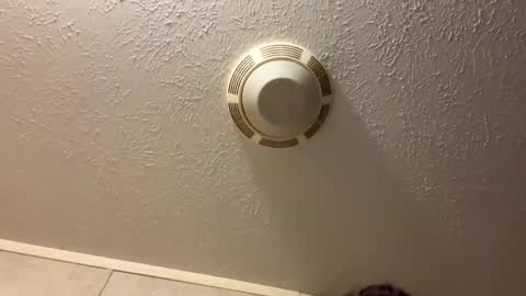 Lilbeebs online show from 10.27.25