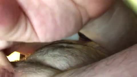 Tbiz82 online show from 02.27.25