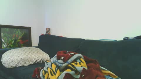 te3jani online show from 02.02.25