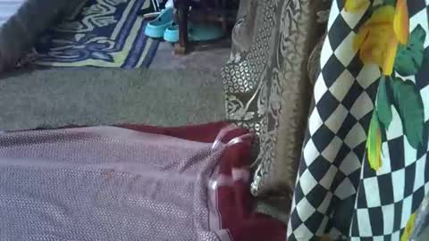 Snapshot of teabody1 chatting on 03.08.26 teabody1 online show from 03.08.26