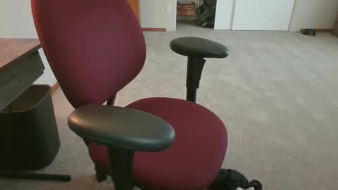 Ted online show from 01.02.25