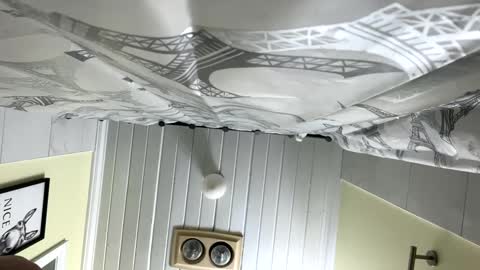 Twizzler online show from 02.12.25