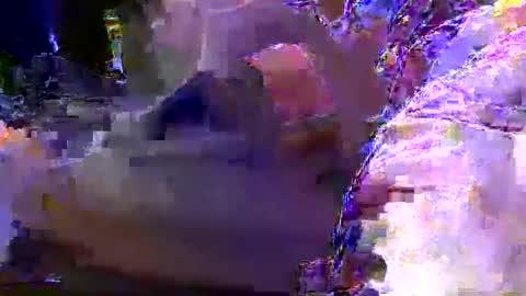 teki80j online show from 01.30.25