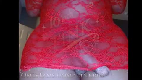 Snapshot of teninchtink chatting on 10.07.25 Tinkerbell online show from 10.07.25