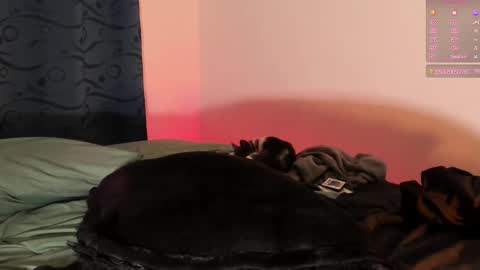 Snapshot of teo_369 chatting on 03.01.25 Teo online show from 03.01.25