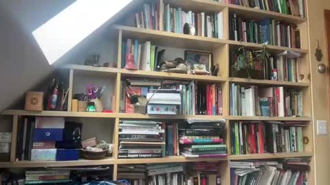 Snapshot of terraworship chatting on 03.03.25 Terra Worship Findomme online show from 03.03.25