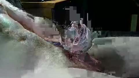 Snapshot of texas_rose_33 chatting on 04.04.26 Texas Rose 33 online show from 04.04.26