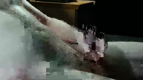 Snapshot of texas_rose_33 chatting on 04.05.26 Texas Rose 33 online show from 04.05.26