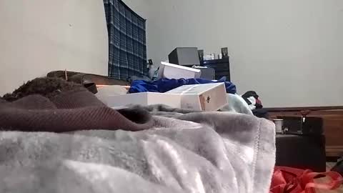 TexasDick online show from 01.24.25