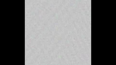 TexPig online show from 09.26.25