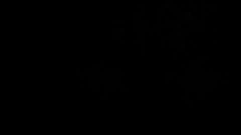 Snapshot of thaidancer chatting on 03.02.26 CJ online show from 03.02.26