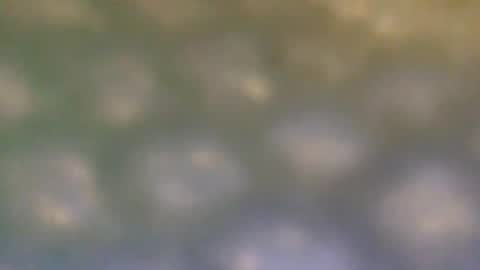 that_thing20 online show from 03.05.25