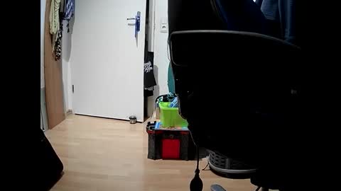 the75major online show from 02.20.25