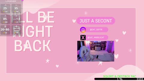 Snapshot of the_cat_girl_ chatting on 01.13.25 i am Cat online show from 01.13.25