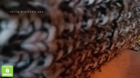 The Real Hanjob Couple online show from 02.04.26