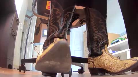 thecowboy_74 online show from 11.19.25