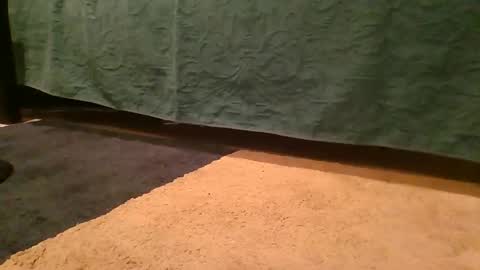 thedickhard1010 online show from 04.02.26