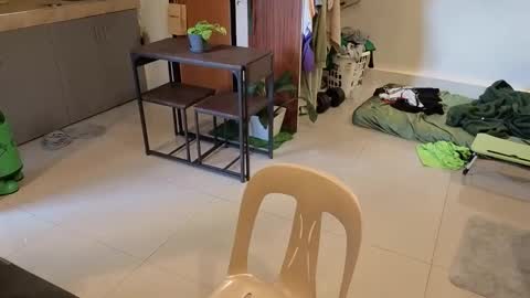 Snapshot of thegreenmagus chatting on 04.01.26 Green online show from 04.01.26