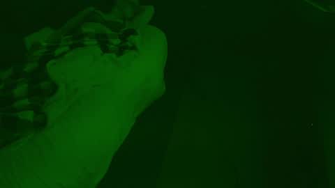 thehungmantis online show from 12.26.24