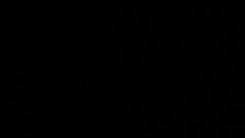 Master Joker online show from 12.07.24