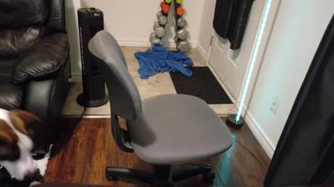 thekodyy online show from 11.21.25