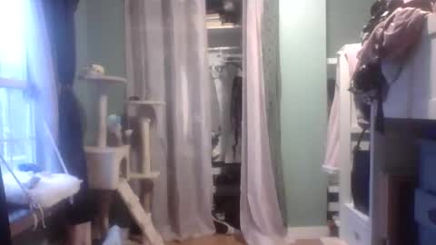 Little Bambii online show from 01.27.25