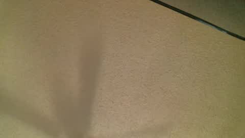 Daisy and Tim online show from 10.19.25