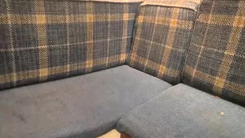 thenautibouy online show from 02.17.25