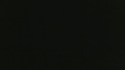 Snapshot of thenudedoodler chatting on 12.05.24 JohnSilver online show from 12.05.24