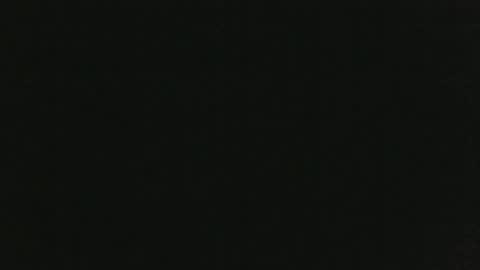 Snapshot of thenudedoodler chatting on 01.14.25 JohnSilver online show from 01.14.25