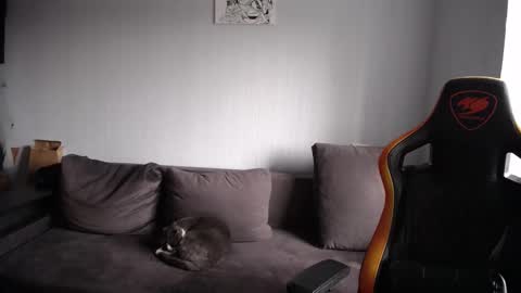 Nick   online show from 11.23.25