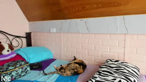 Nicole online show from 03.25.26