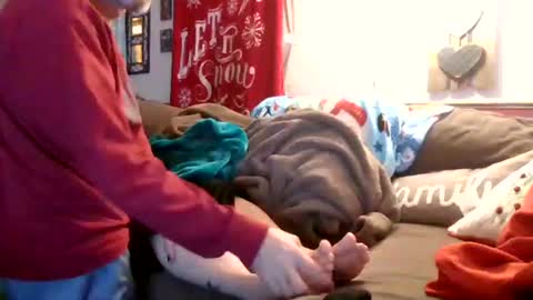 mellow online show from 12.28.24