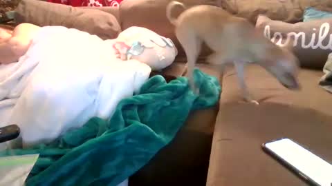 mellow online show from 02.05.25