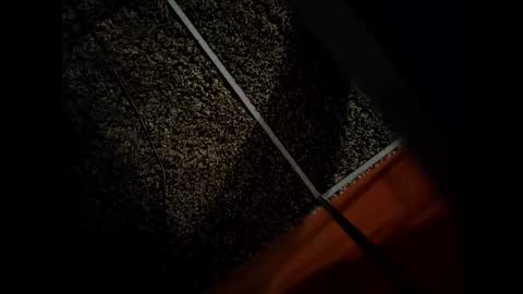 thicknordiccock online show from 01.08.26