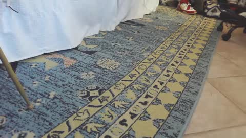 ThongMuscle online show from 02.27.25