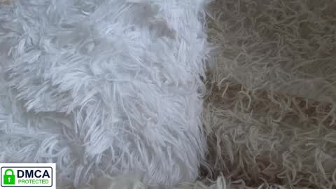 tia_j online show from 01.16.25