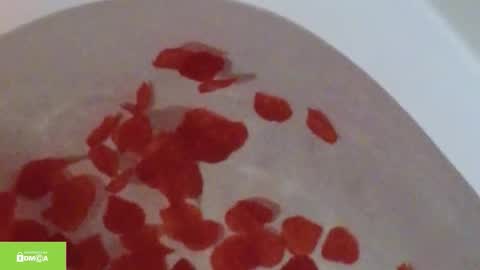 tia_j online show from 10.12.25