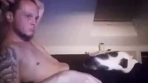 tigertrance online show from 10.19.25