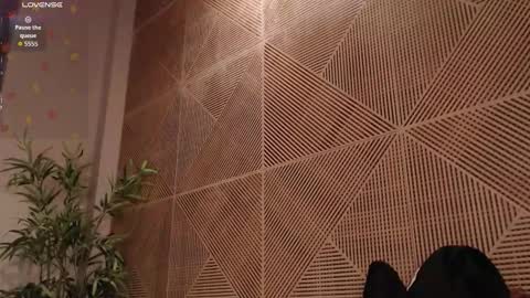 Tim Fox online show from 02.17.26