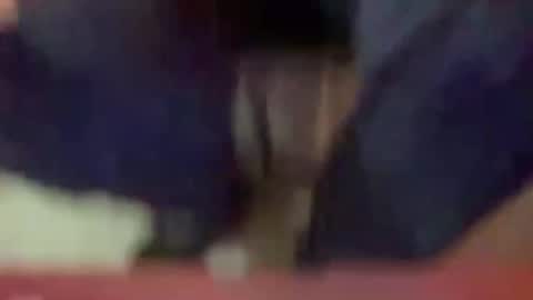 Timplaw online show from 01.03.25